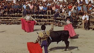 Il momento della verità — foto 3