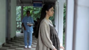 பெண்குயின் — foto 1