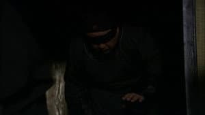 Episodio 29
