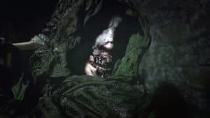Beyond the Woods — foto 3