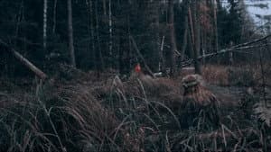 Извод: Ведьмина топь — foto 1