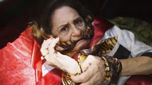 Muito Gelo e Dois Dedos d'Água — foto 4