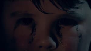 The Ash: Safe Haven — foto 1