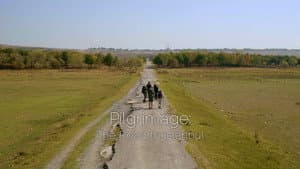 Pilgrimage — foto 4