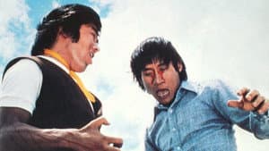 神拳飛龍 — foto 2