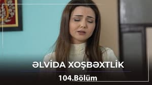 Episodio 104
