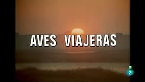 Episodio 37