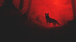 Rabid — foto 1