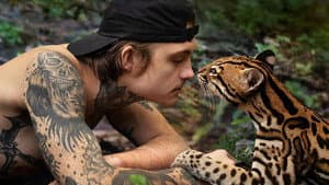 Wildcat — foto 5