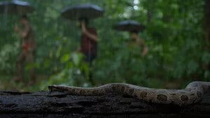 സംഭവം അദ്ധ്യായം ഒന്ന് — foto 3