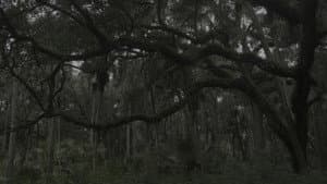 Nomotopowell — foto 1