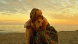 Good Boy — foto 1
