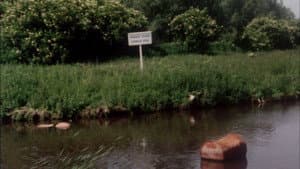 Leven met de Belt — foto 1