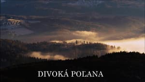 Divoká Poľana: V medveďom vulkáne — foto 1
