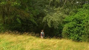Contes de Juillet — foto 3