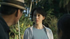 遥远的下午 — foto 2