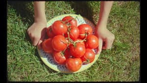 Heirloom — foto 4