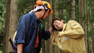 WOOD JOB! ～神去なあなあ日常～ — foto 2
