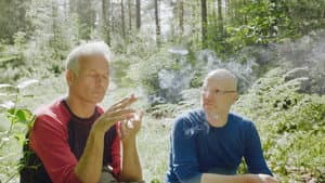 Skogen — foto 1