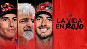 La vida en Rojo 2025 — foto 1
