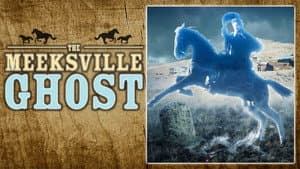 The Meeksville Ghost — foto 2