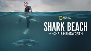 Playa de tiburones con Chris Hemsworth — foto 6