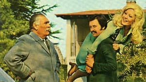 Çam Sakızı — foto 4