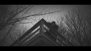 Echoes Of Ivory — foto 6