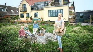 Beier bygger have — foto 1