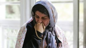 زیر سقف دودی — foto 1