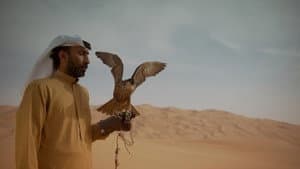 History of The Emirates — foto 1