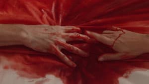 Separation — foto 1