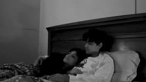 ED & ALLY — foto 1