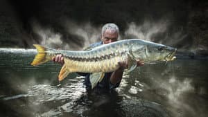 Jeremy Wade's Mighty Rivers — foto 1