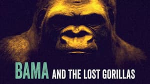 Bama, der Gorillamann - Abenteuer in Kamerun — foto 1