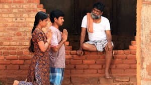முந்திரிக்காடு — foto 7