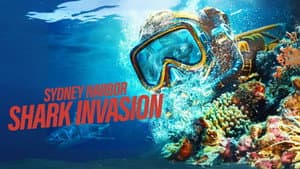 Sydney Harbor Shark Invasion — foto 1