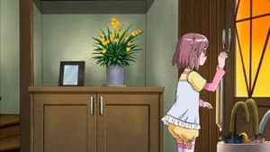 Episodio 11