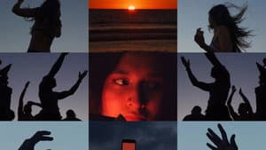 Wilderness — foto 1