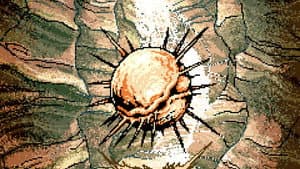 Exelixis — foto 3