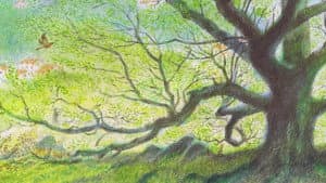 L'homme qui plantait des arbres — foto 2