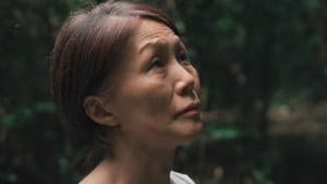 Okurimono — foto 4