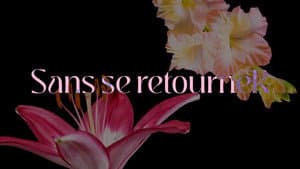 Sans se retourneR — foto 1