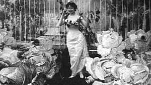 La Fée aux choux — foto 2