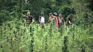 Strain Hunters — foto 1