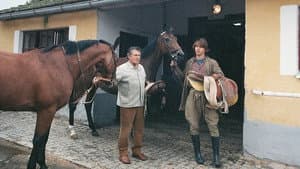 Obyčejná koňská historie — foto 1