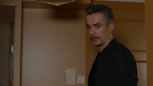 Episodio 22
