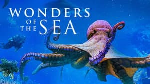 Wonders of the Sea 3D — foto 3