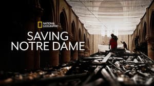 Saving Notre Dame — foto 6
