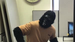 Working with Bigfoot — foto 1